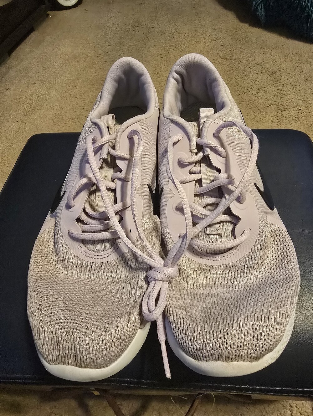 Nike Sneakers Size 10.5 - Iced Lilac